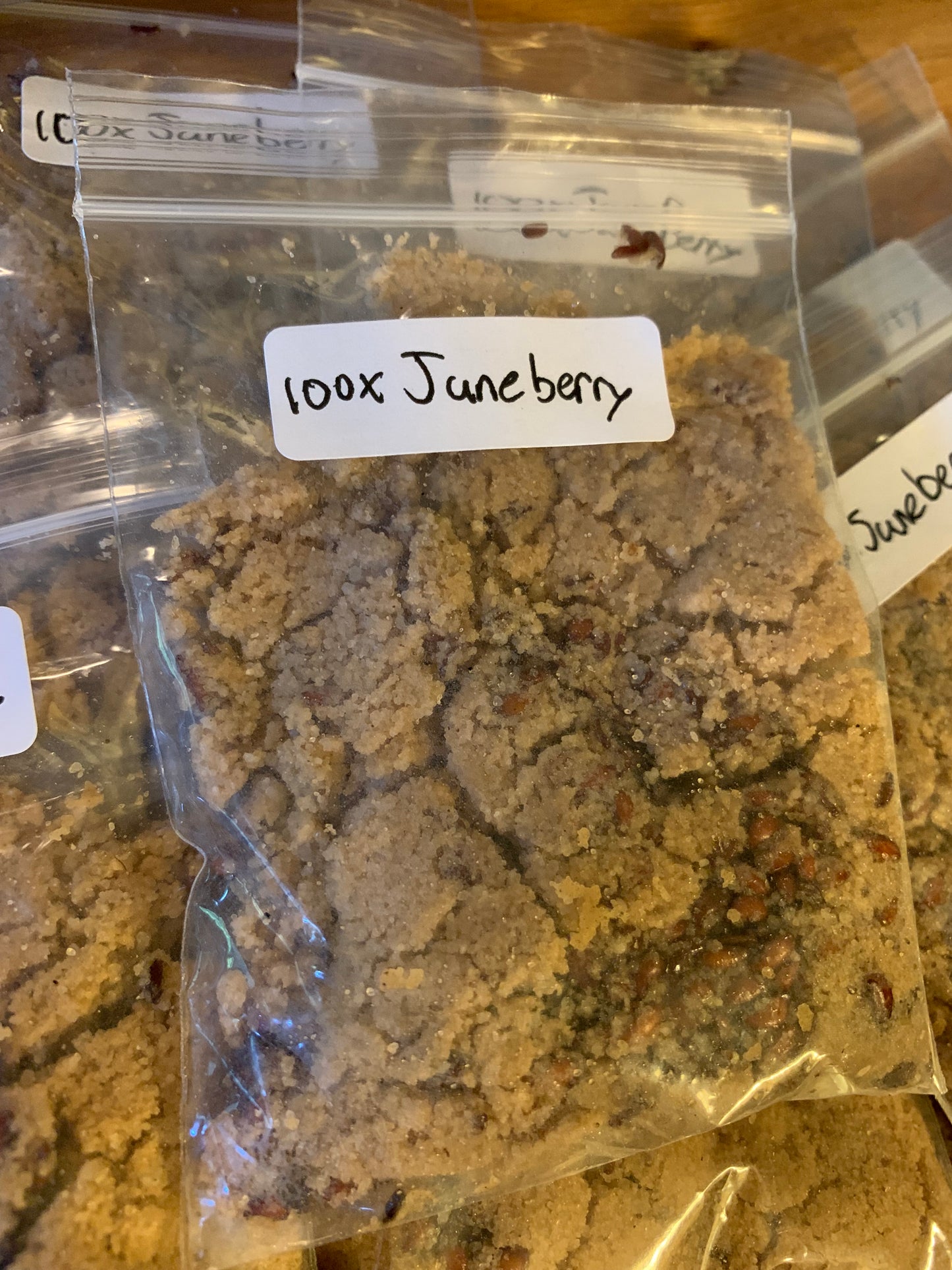 Juneberry Seeds