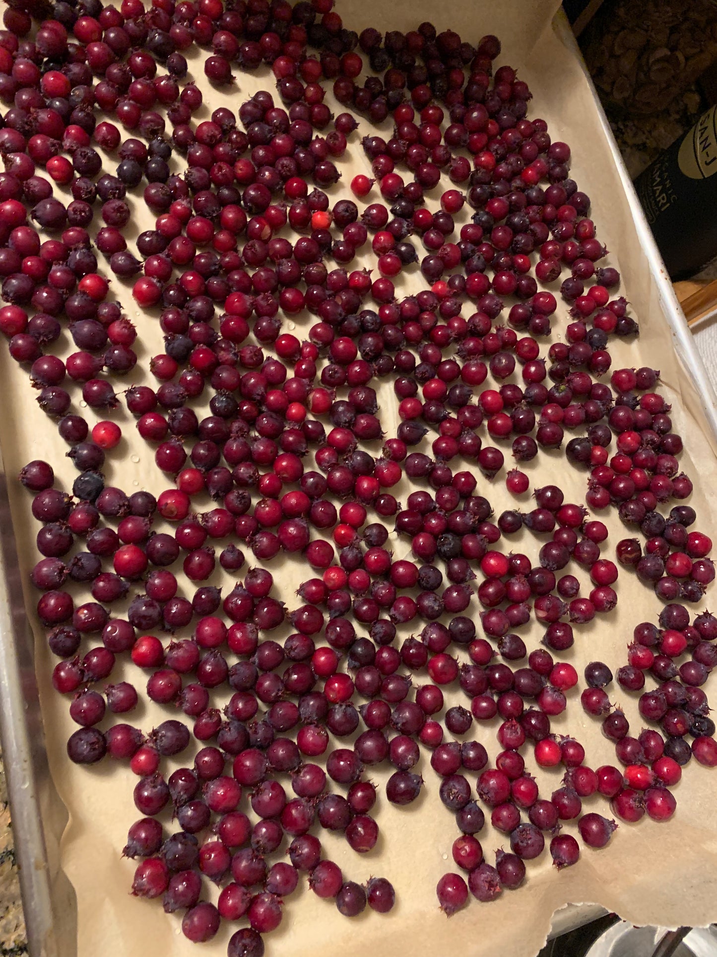 Juneberry Seeds