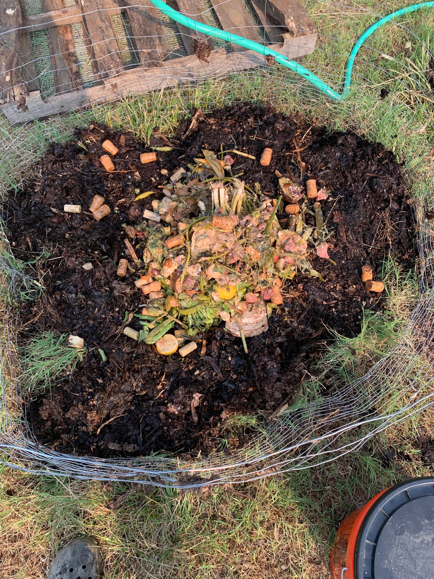 Curbside Food Waste Pickup