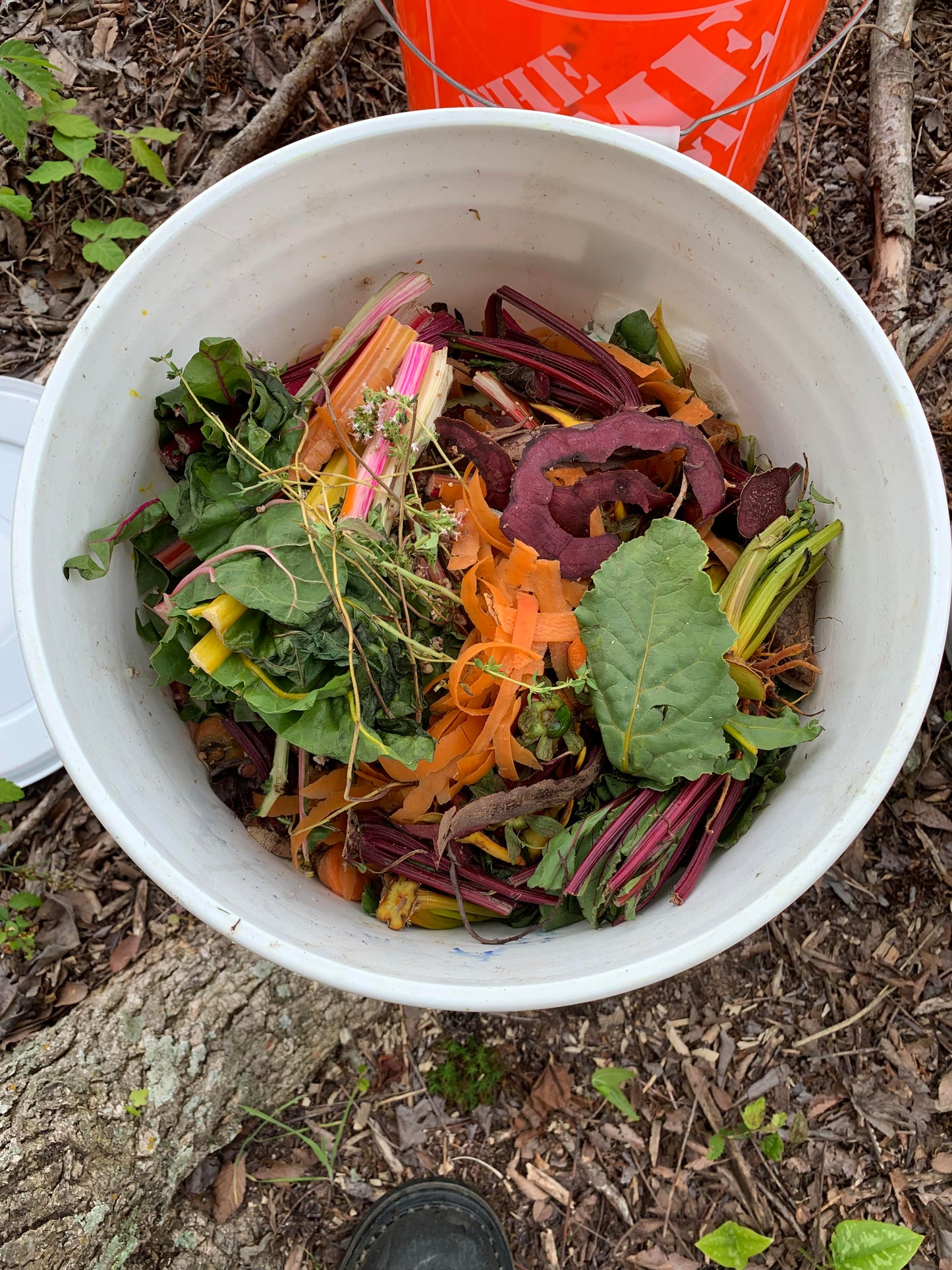 Curbside Food Waste Pickup