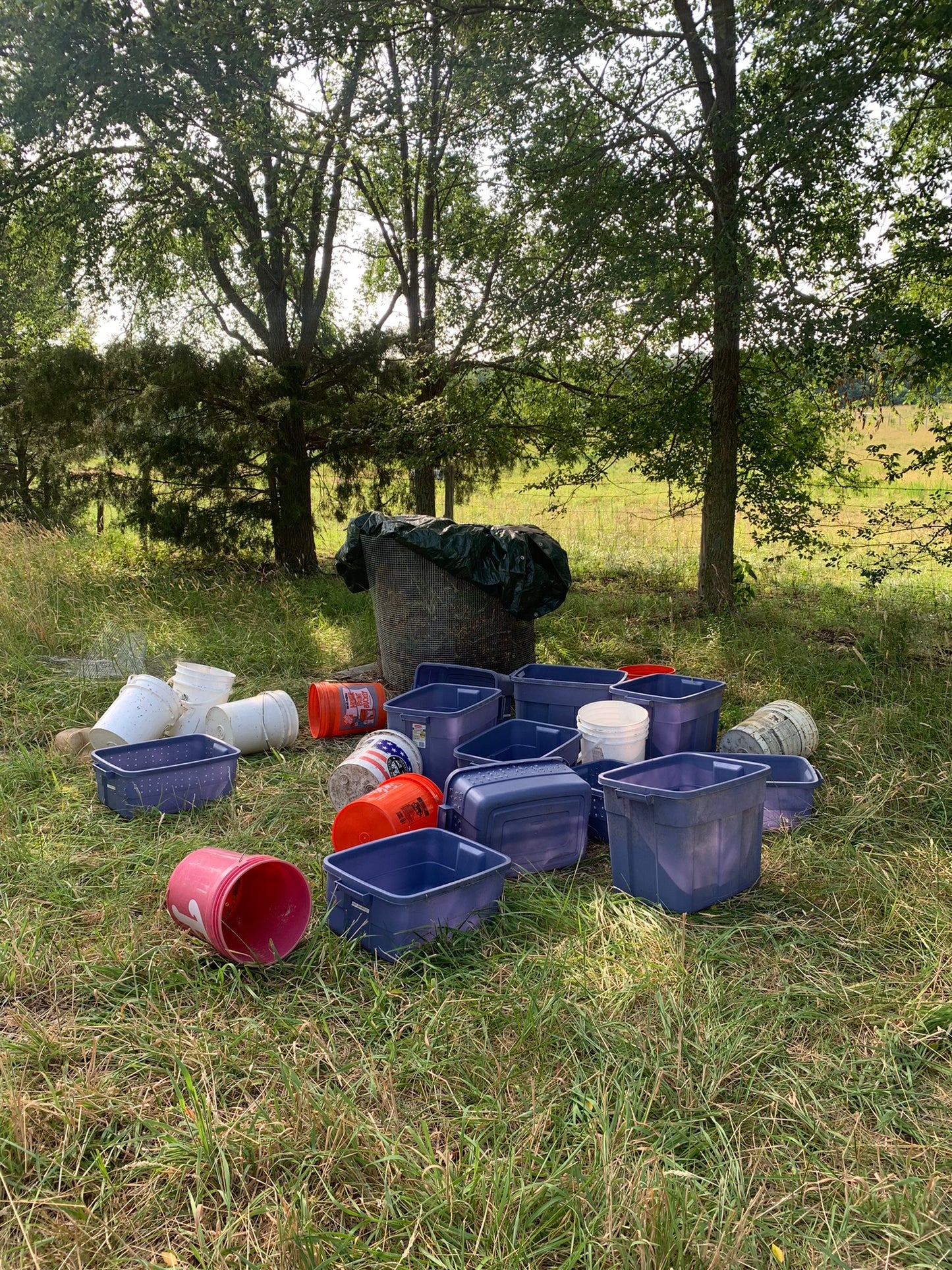 Curbside Food Waste Pickup